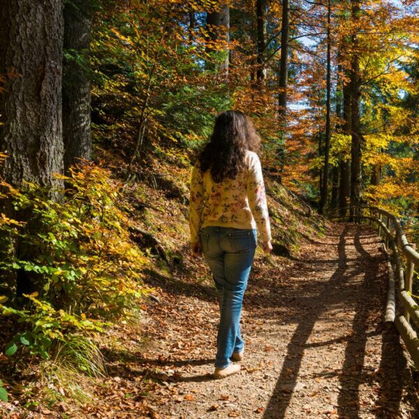Go to Walking Routes